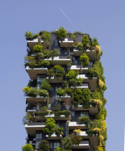 Photo d'une façade d'immeuble empli de plantes vertes